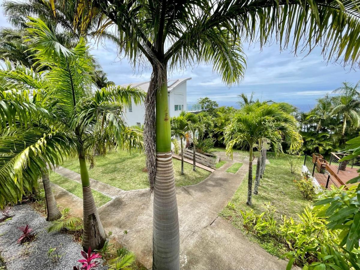 Grande Villa Au Calme - Vue Exceptionnelle - Climatisation - Piscine Sel Chauffee - Jardin Tropical Vincendo Buitenkant foto