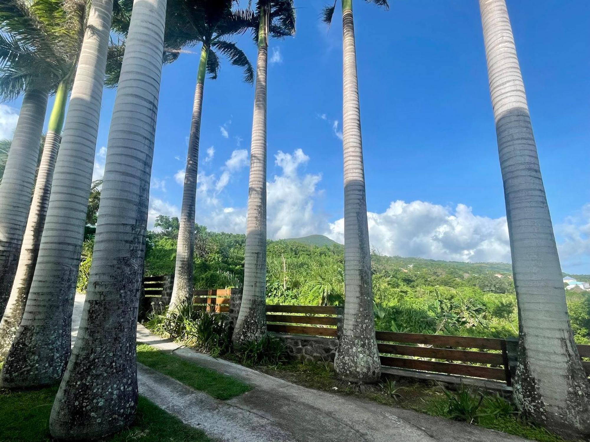 Grande Villa Au Calme - Vue Exceptionnelle - Climatisation - Piscine Sel Chauffee - Jardin Tropical Vincendo Buitenkant foto